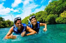 Xelha Snorkel Adventure! Gorgeous & Natural From Playa Del Carmen