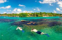 Xelha Snorkel Adventure! Gorgeous & Natural From Playa Del Carmen