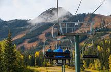 Discover Grizzly Bears from Banff