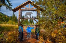 Discover Grizzly Bears from Banff