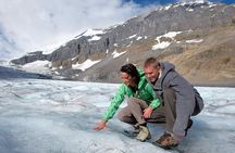 Athabasca Glacier Snow Trip from Banff