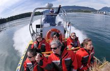 Vancouver Waterfront Sightseeing Zodiac Tour - City and Harbour