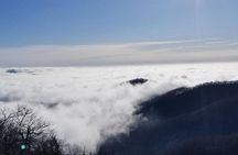 Blue Ridge Parkway Waterfalls Hiking Tour from Asheville
