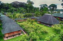 3-Day Eco Amazonia Lodge in the Amazon Jungle ECOMAGICO