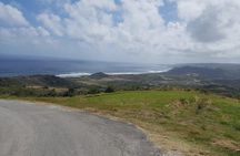 Barbados Coastal Sightseeing Private Tour