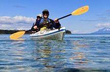 Paddle with Whales Kayak Adventure Juneau