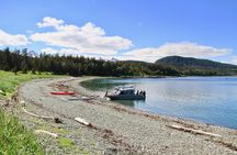 Juneau Shore Excursion: Paddle with Whales Kayak Adventure