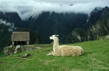 6-Day Private Tour from Lima: Cusco, Sacred Valley and Machu Picchu