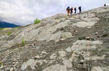 Mendenhall Glacier Guided Hike Juneau 