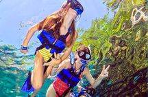 Snorkel, Breakfast, Buffet, Drinks, Xel-ha All Included!