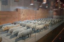 Private Day Trip to Terracotta Warriors and Jingdis Tomb