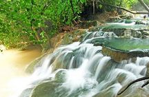 Half Day Jungle Tour to Emerald pool and Krabi Hot Spring