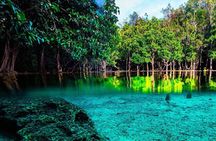 Half Day Jungle Tour to Emerald pool and Krabi Hot Spring