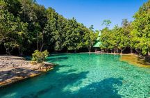 Half Day Jungle Tour to Emerald pool and Krabi Hot Spring