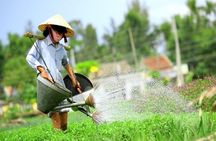 Hoi An Cooking Class & Tra Que Vegetable Village Experience