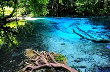Half Day Jungle Tour to Emerald pool and Krabi Hot Spring