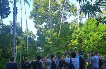 Spices and Stone Town Tour in Zanzibar