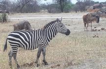 day trip lake manyara