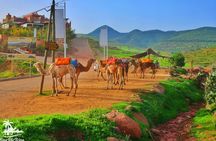 Private Atlas Mountains Day Trip