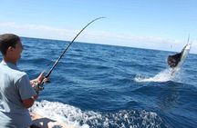 Fishing trip, Tenerife Sea Passion