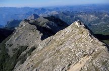 Kotor-Njegusi-Lovcen Tour