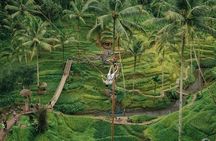 All inclusive Private 3 day tours package : Bali highlights