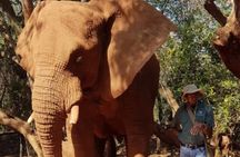 Lesedi cultural village and Elephant walk