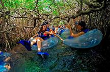 Day Adventure at Xelha + Tulum! From Cancun & Playa Del Carmen