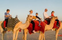Desert Safari Dubai With Quad Bike ,camel Ride, bbq Dinner, Live Show's