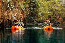 Sacred Adventure at Xenotes! 4 Different Cenotes + Round Transportation