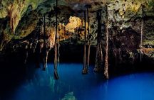 Sacred Adventure at Xenotes! 4 Different Cenotes + Round Transportation