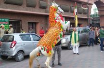 Amritsar City Tour ( EXCLUDING WAGAH BORDER) 