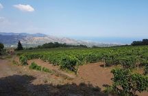 Wine Experience & Taormina Tour From Messina with Luxury Van
