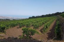 Wine Experience & Taormina Tour From Messina with Luxury Van