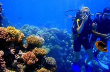 Scuba Diving Boat Trip 2 Stops Diving for bigenners and Lunch – Marsa Alam