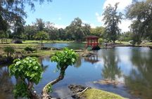 Volcano Adventure Tour & Waterfall - Shore Excursion from Hilo Harbor