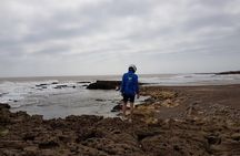 Quad day with south Essaouira meal 6h(free transfer)