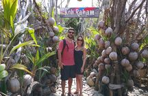 One day road trip around Koh Phangan (Private group)