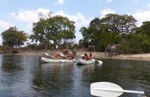 Upper Zambezi Canoeing 