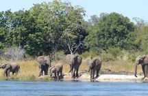 Upper Zambezi Canoeing 