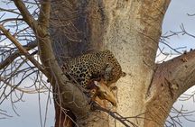 9 Days Tarangire, Serengeti, Ngorongoro Crater & Manyara Camping Safari Tour 