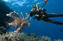 Ras Mohammed Snorkeling Tour by Boat