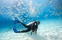 Ras Mohammed Snorkeling Tour by Boat