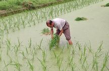 Sanjiang Chengyang Dong Village Private Day Tour From Guilin or Yangshuo
