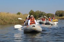 Upper Zambezi Canoeing 