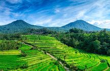 Tanah Lot and North Bali Tour: Scenic Journey