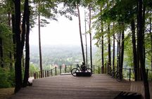 Mountain Bike Tour to Pavilniai Regional Park 