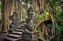 All-Inclusive Ubud Private Tour