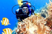 PADI Advanced Diving Course With Transfer and Lunch - Hurghada