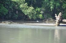 Corcovado Sirena-over night Tour